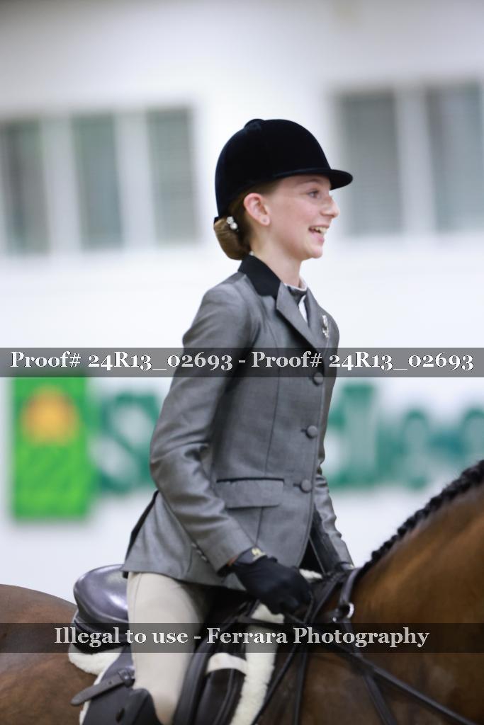 Proof 24R13_02693