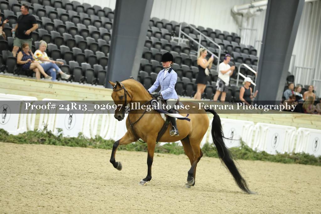 Proof 24R13_02697