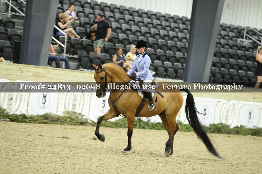 Proof 24R13_02698
