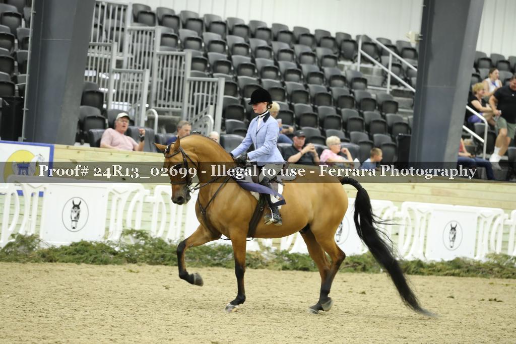 Proof 24R13_02699