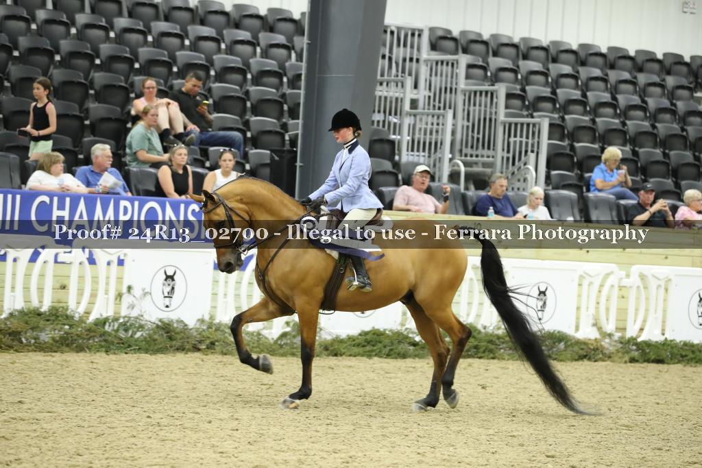 Proof 24R13_02700