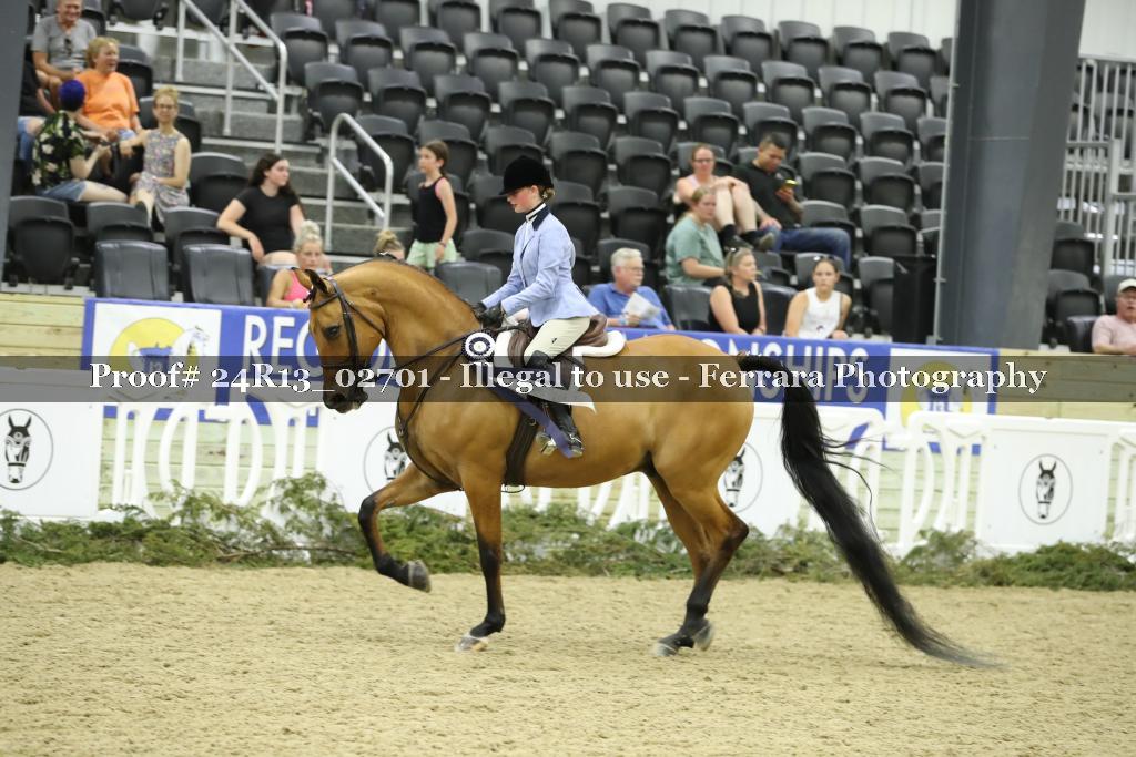 Proof 24R13_02701
