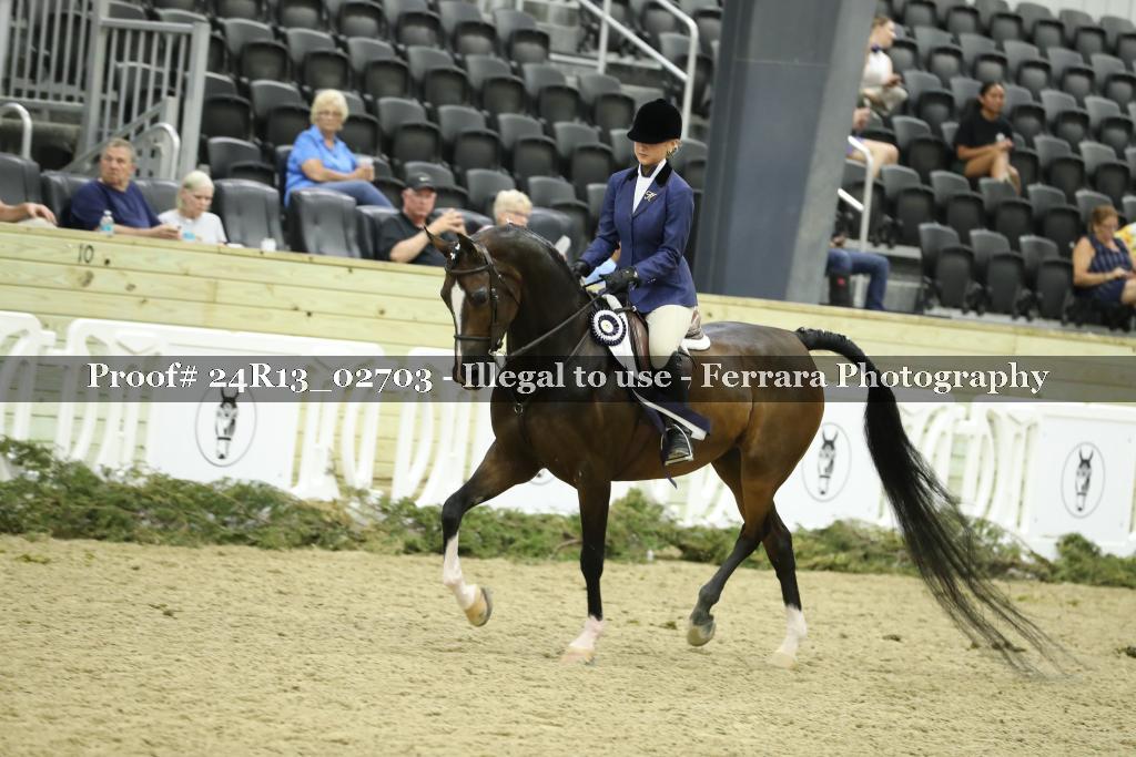 Proof 24R13_02703