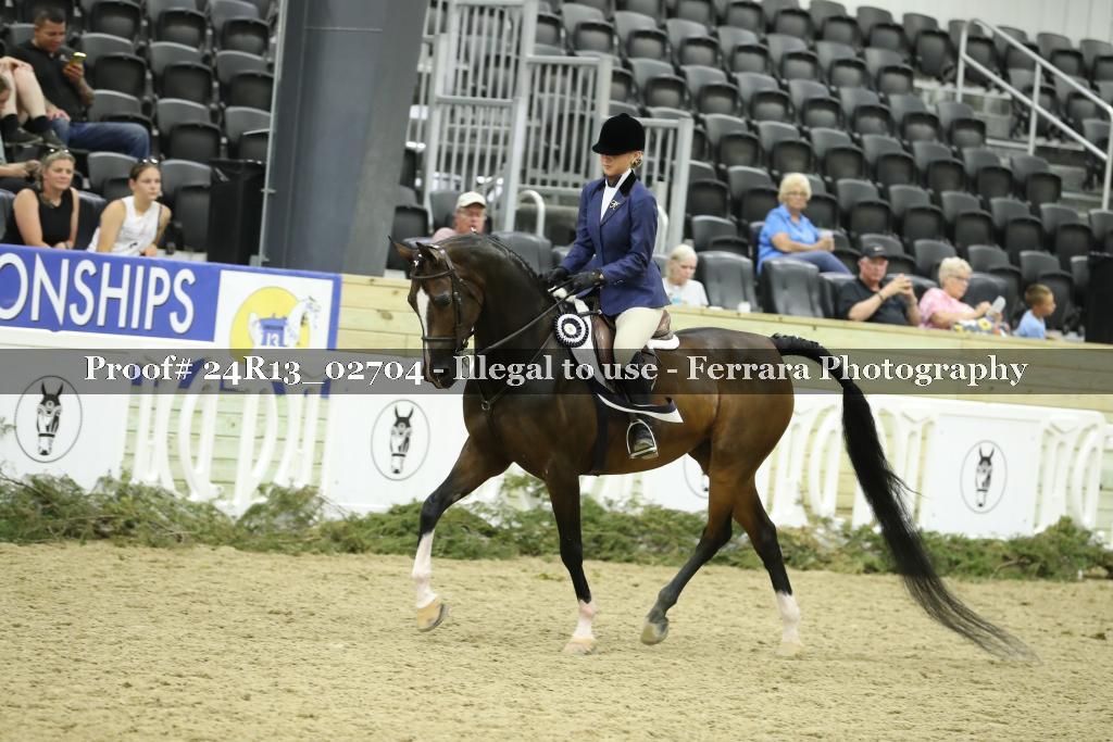Proof 24R13_02704