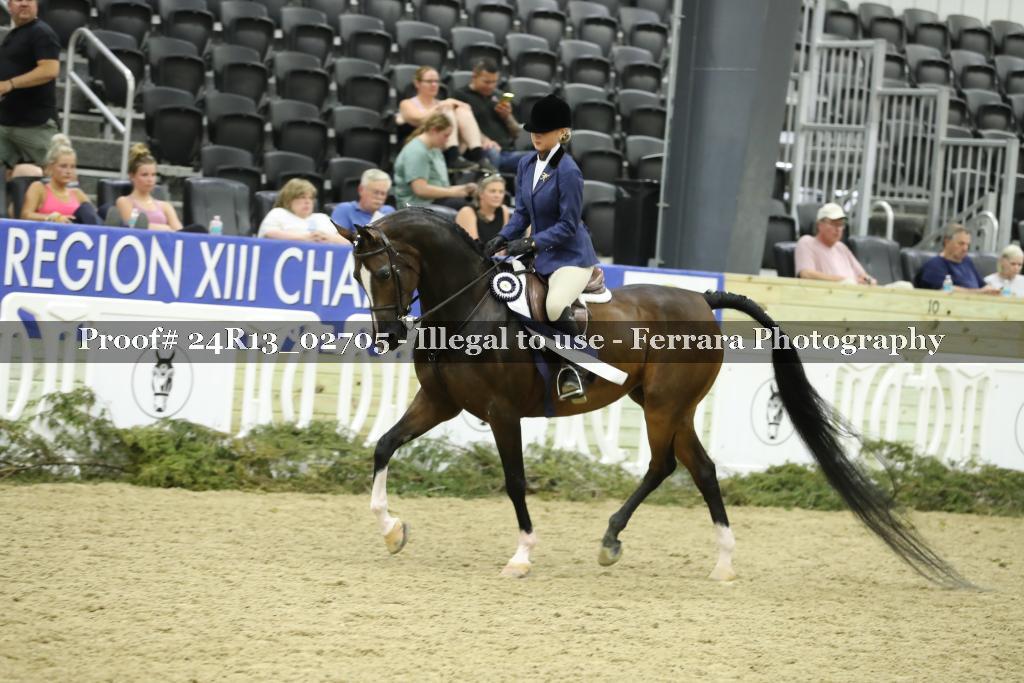 Proof 24R13_02705