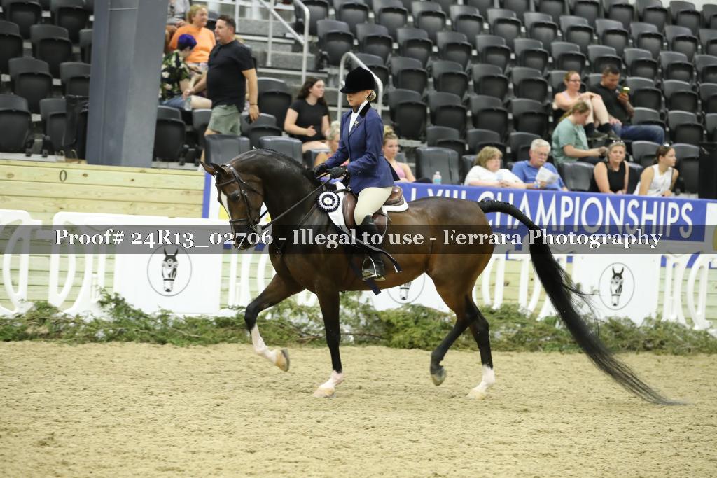 Proof 24R13_02706