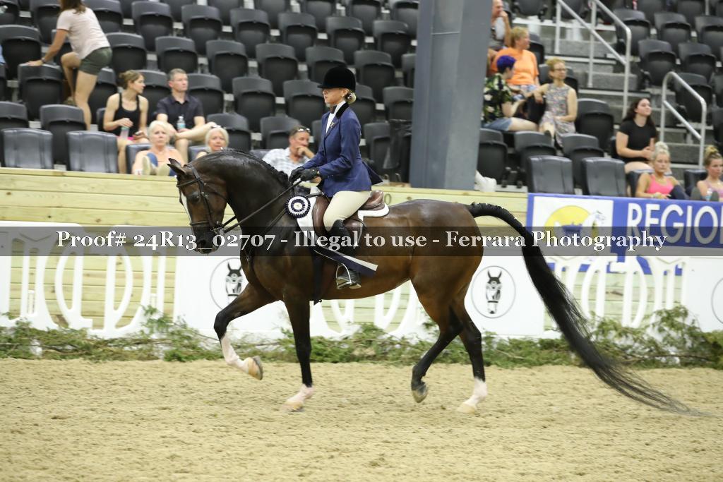 Proof 24R13_02707