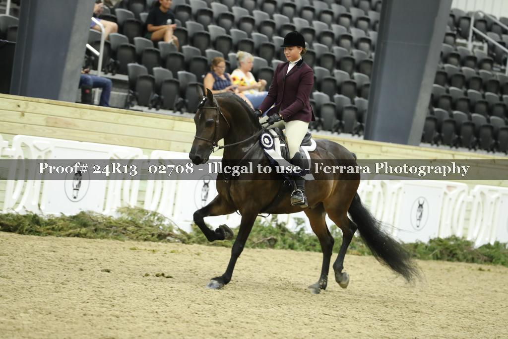 Proof 24R13_02708