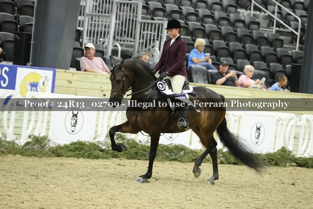 Proof 24R13_02709