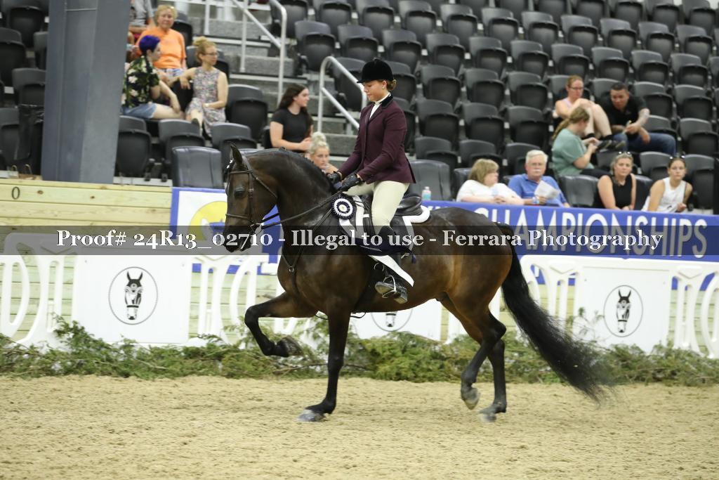 Proof 24R13_02710