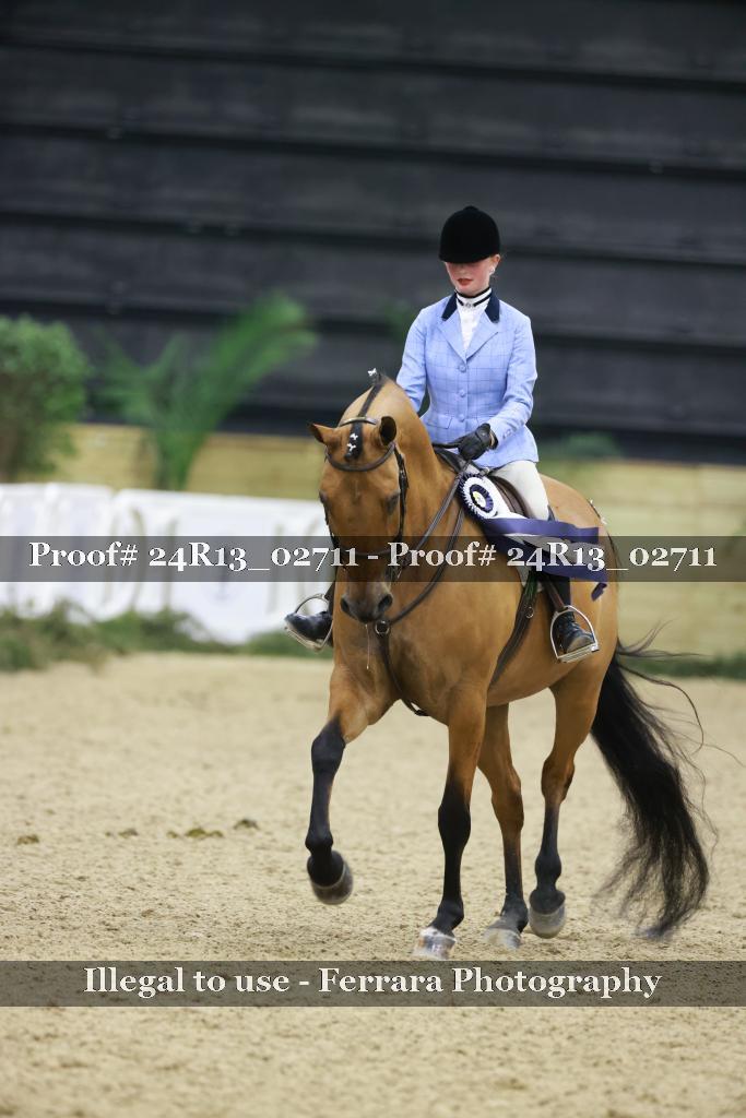 Proof 24R13_02711