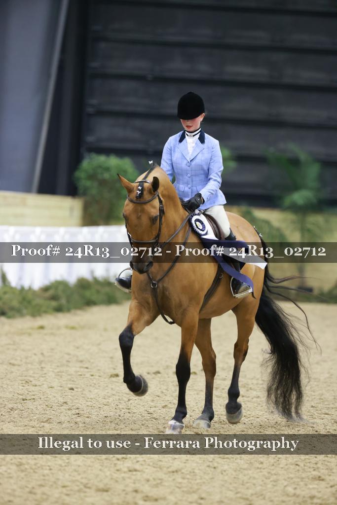 Proof 24R13_02712