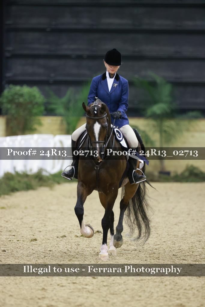 Proof 24R13_02713