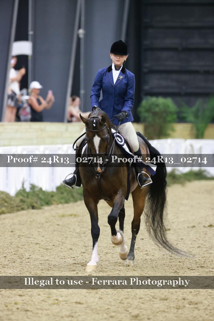 Proof 24R13_02714