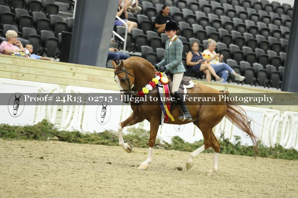 Proof 24R13_02715