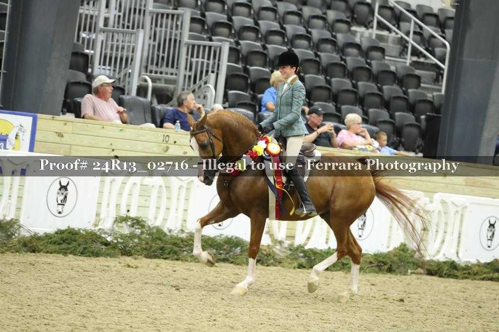 Proof 24R13_02716