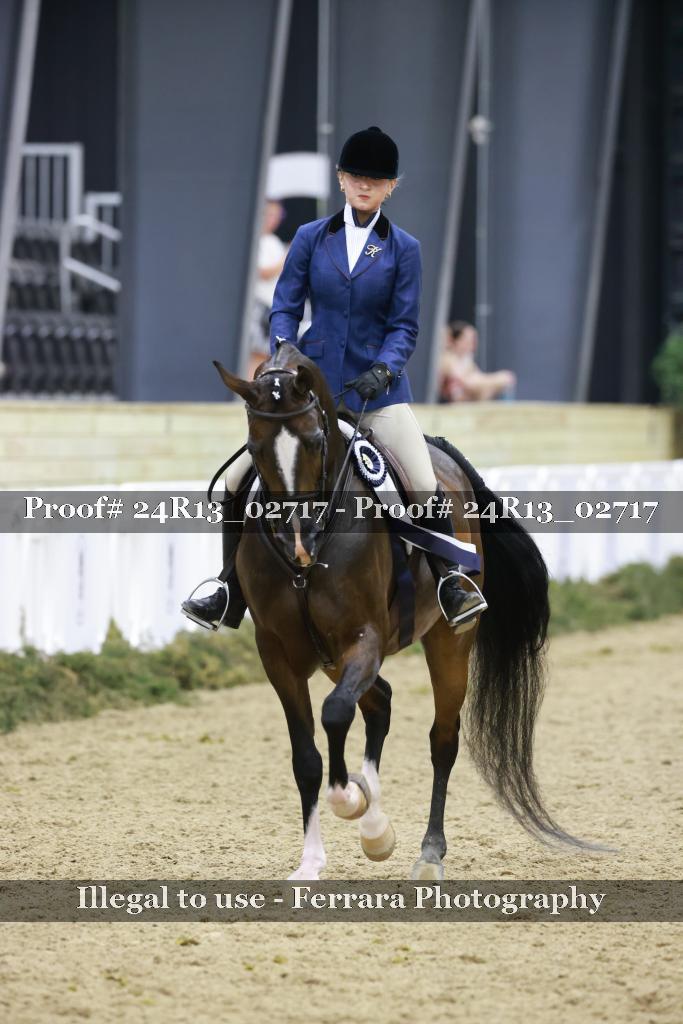 Proof 24R13_02717