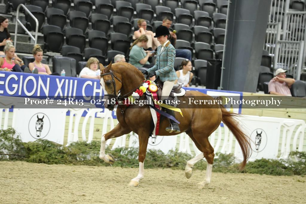 Proof 24R13_02718