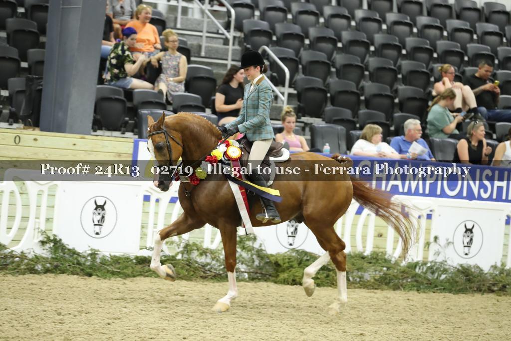 Proof 24R13_02719