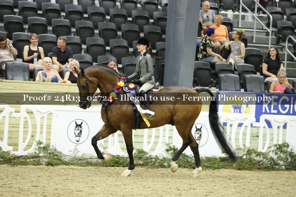 Proof 24R13_02724