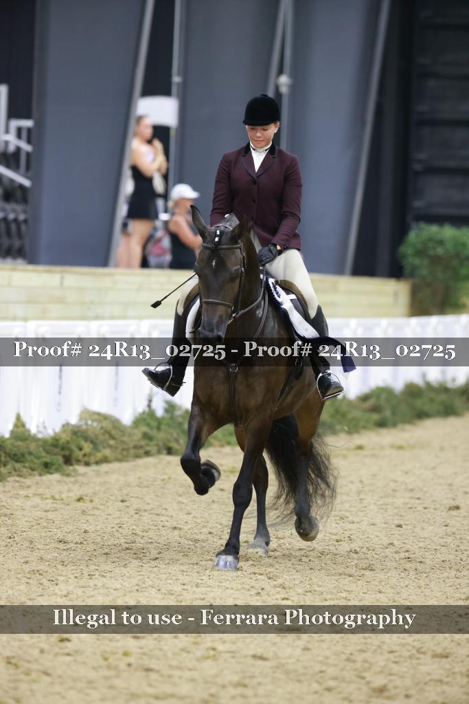 Proof 24R13_02725