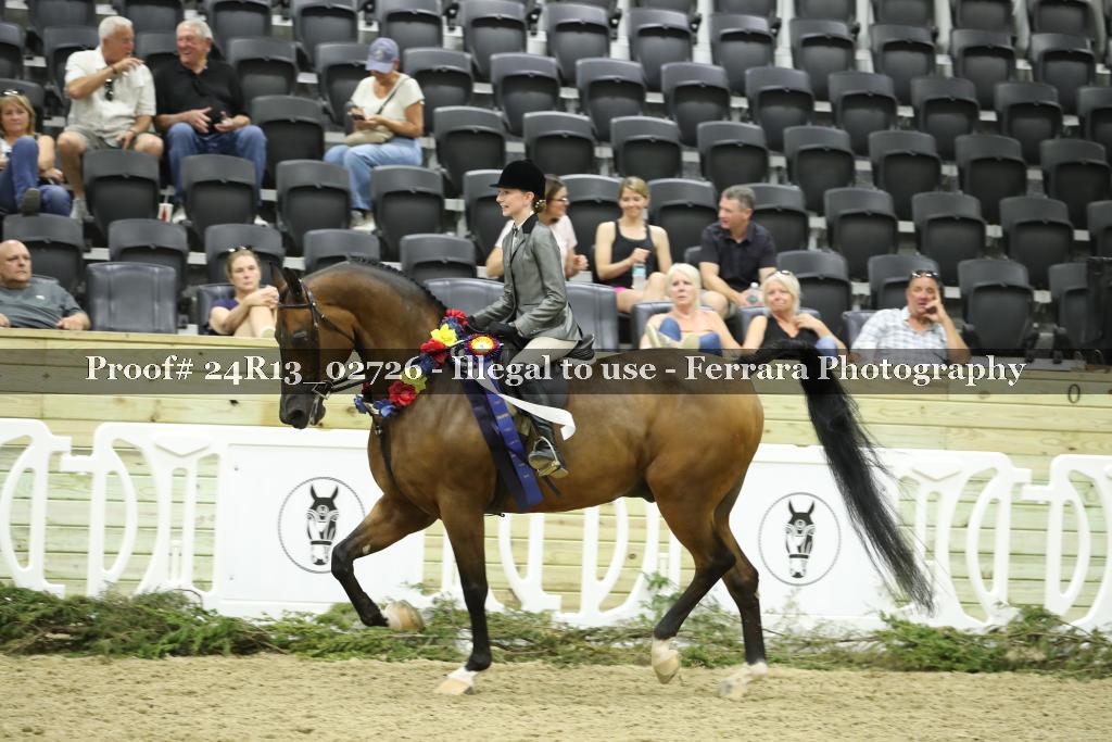 Proof 24R13_02726