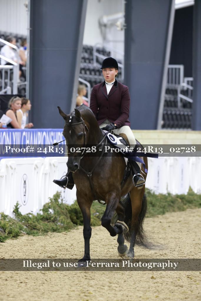Proof 24R13_02728