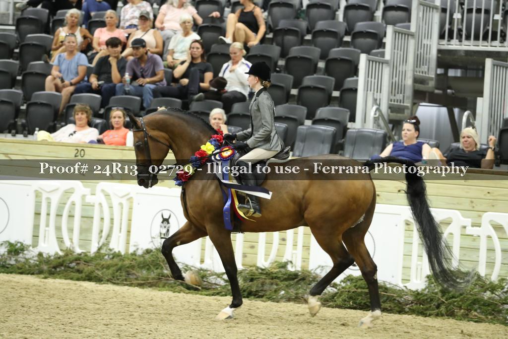 Proof 24R13_02729