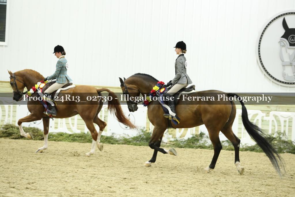 Proof 24R13_02730