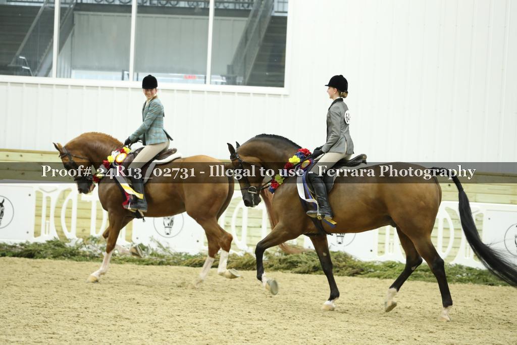 Proof 24R13_02731