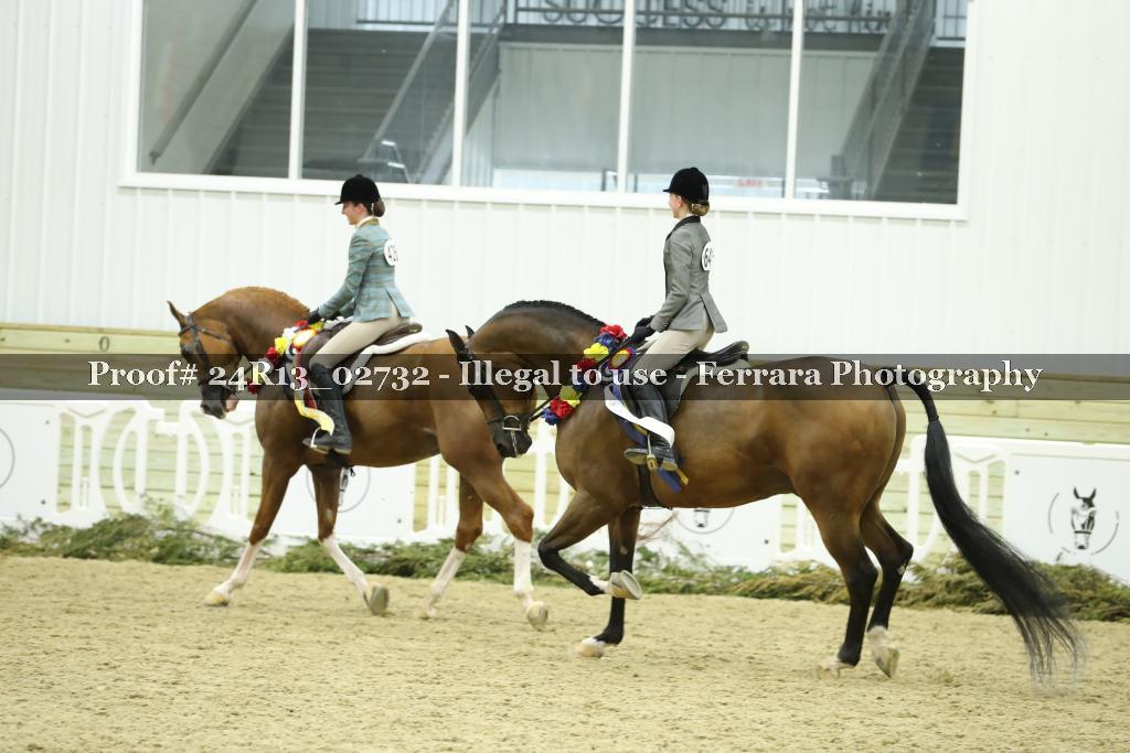 Proof 24R13_02732