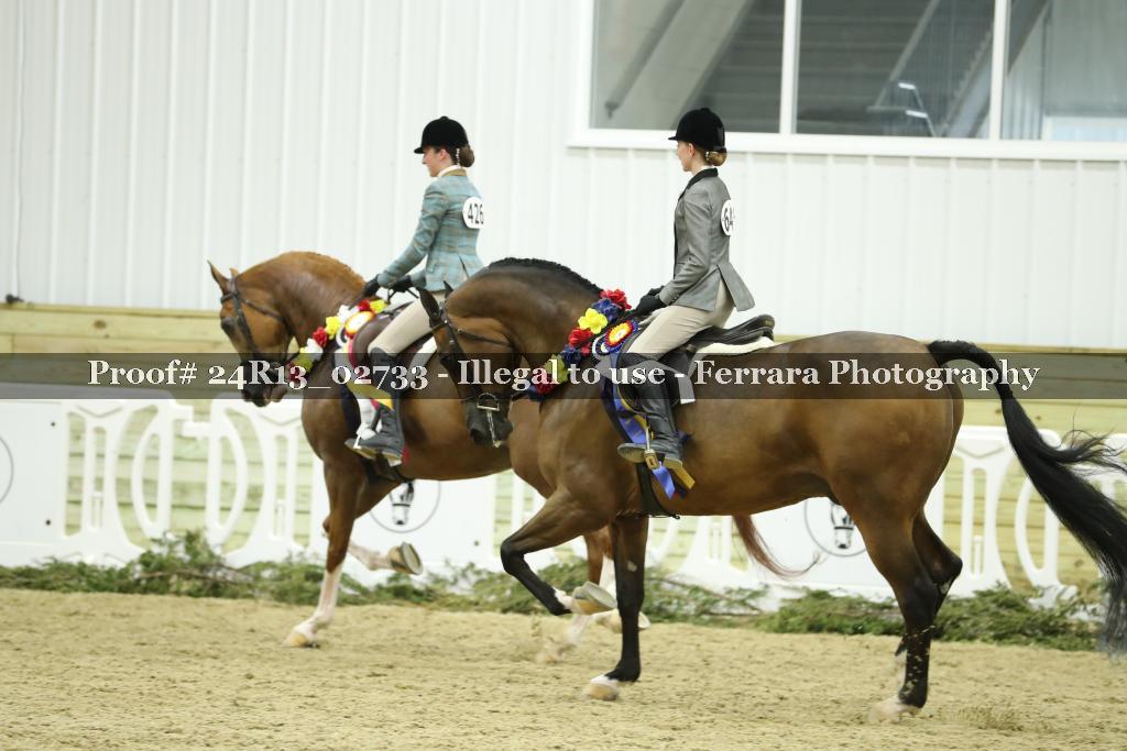 Proof 24R13_02733