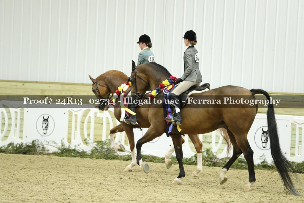 Proof 24R13_02734