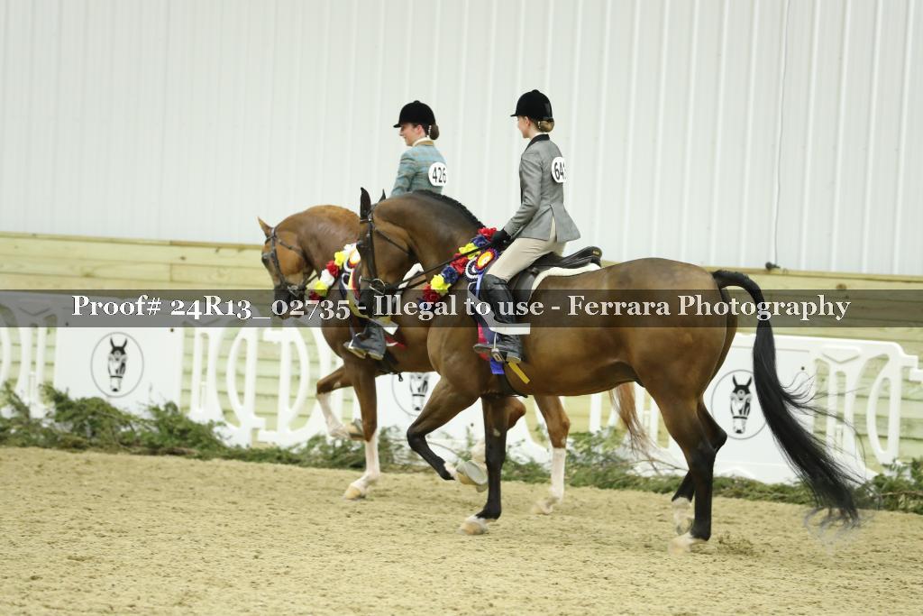 Proof 24R13_02735