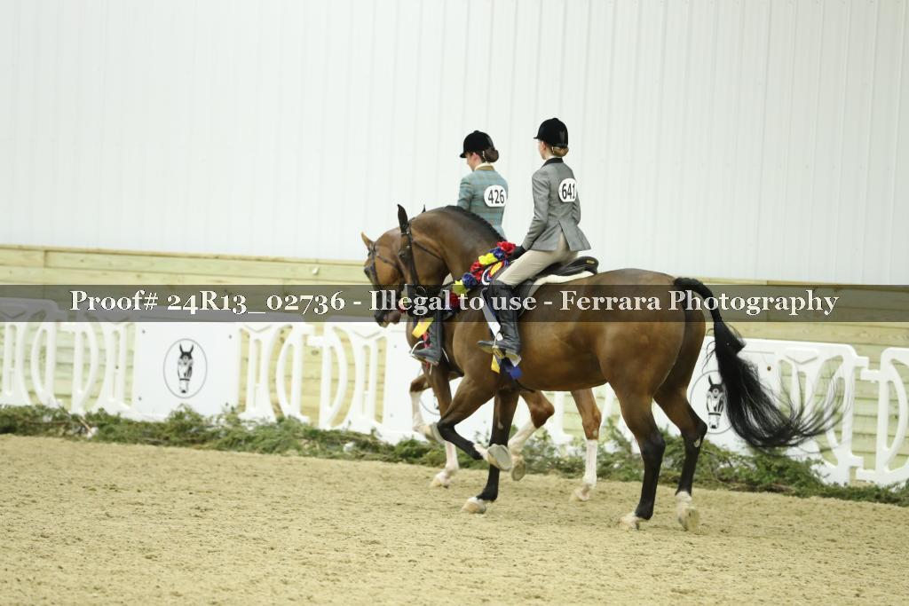 Proof 24R13_02736
