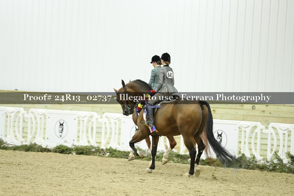 Proof 24R13_02737