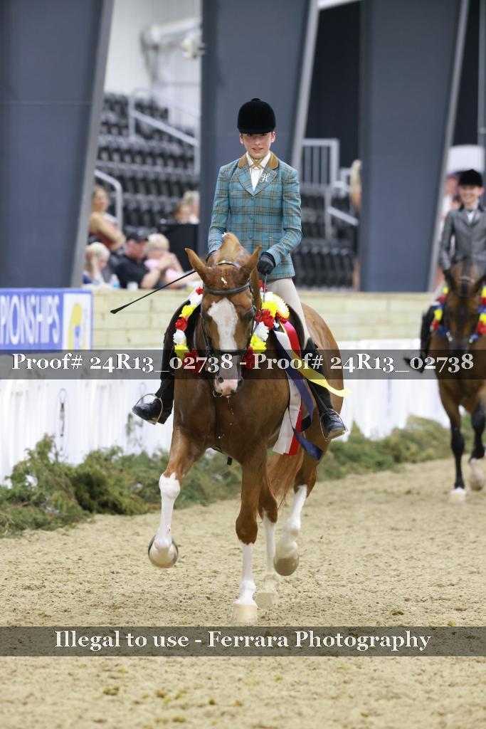 Proof 24R13_02738
