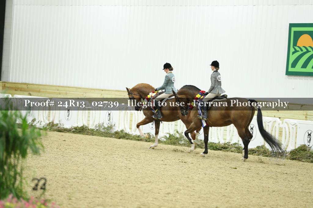Proof 24R13_02739