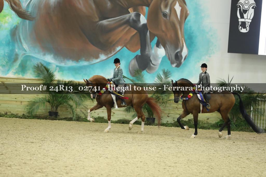 Proof 24R13_02741