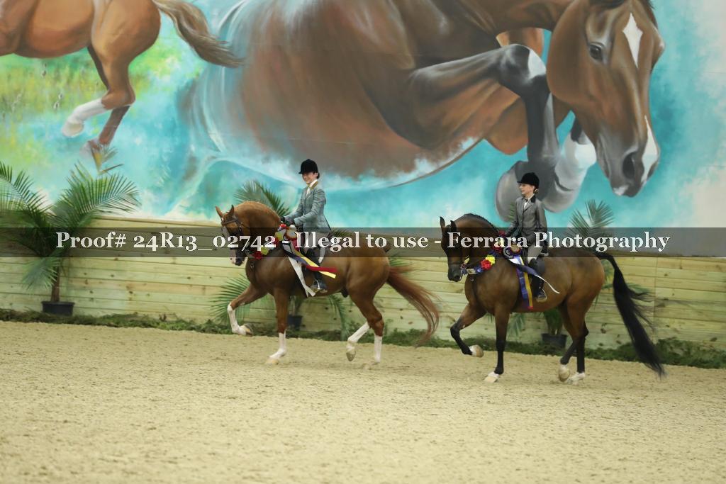 Proof 24R13_02742
