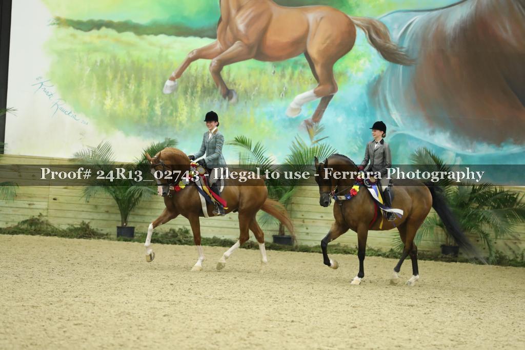 Proof 24R13_02743