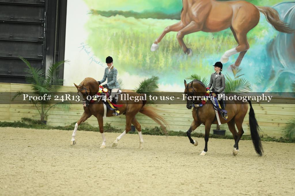 Proof 24R13_02744