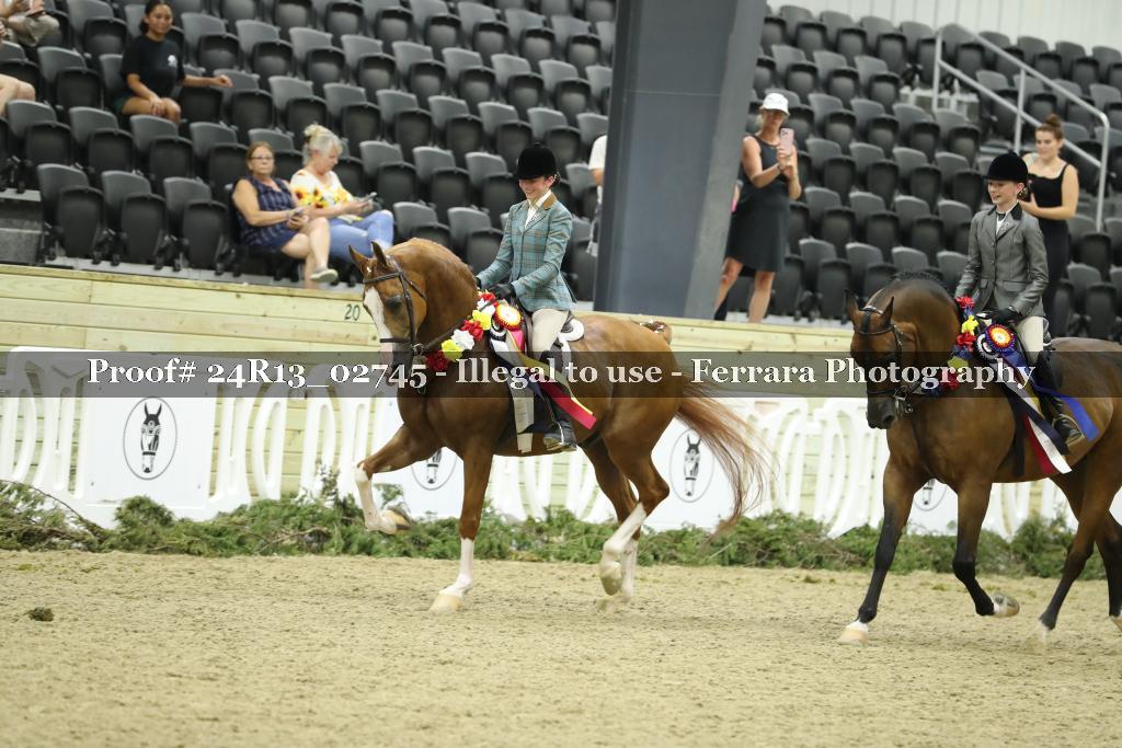 Proof 24R13_02745