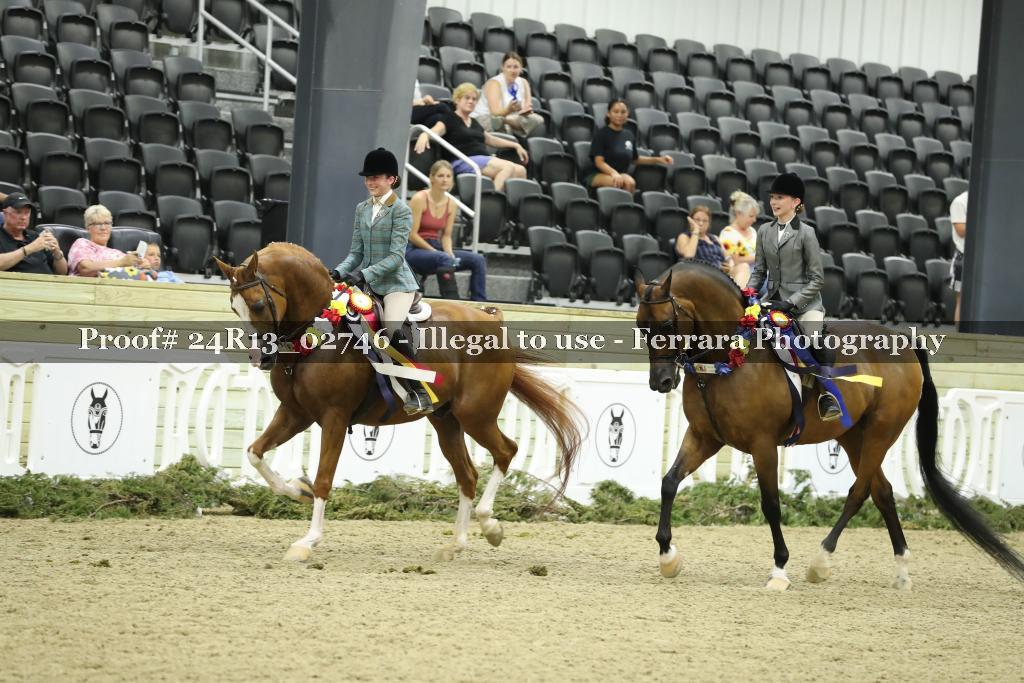 Proof 24R13_02746