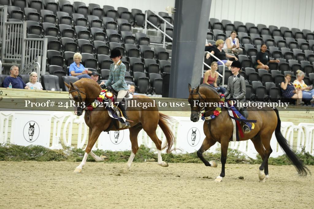 Proof 24R13_02747
