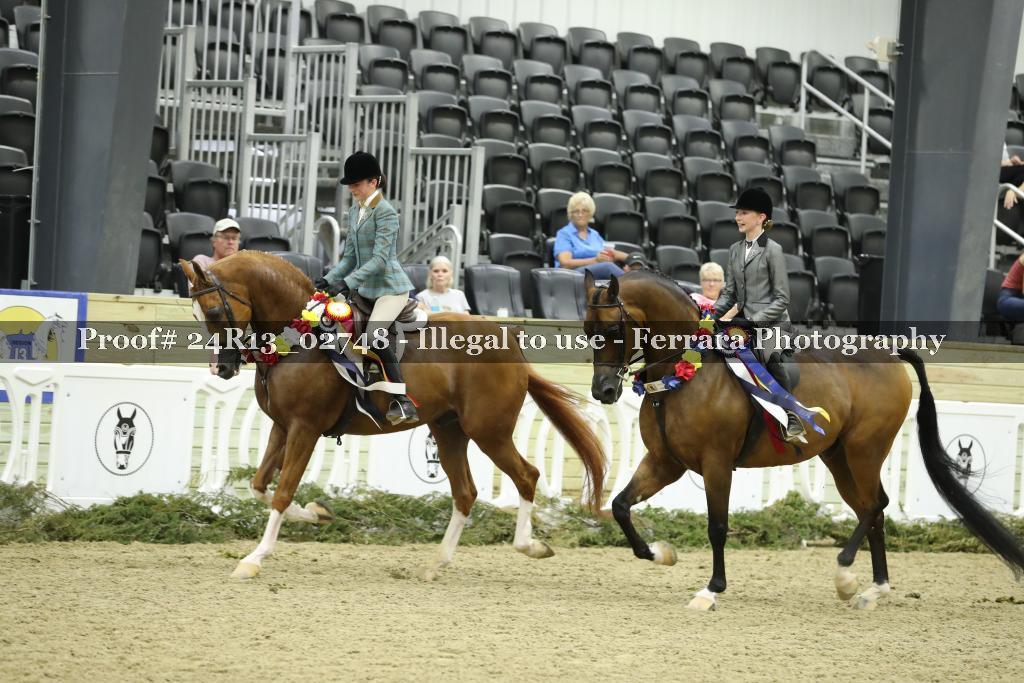 Proof 24R13_02748