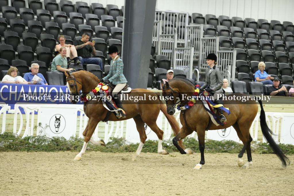 Proof 24R13_02749