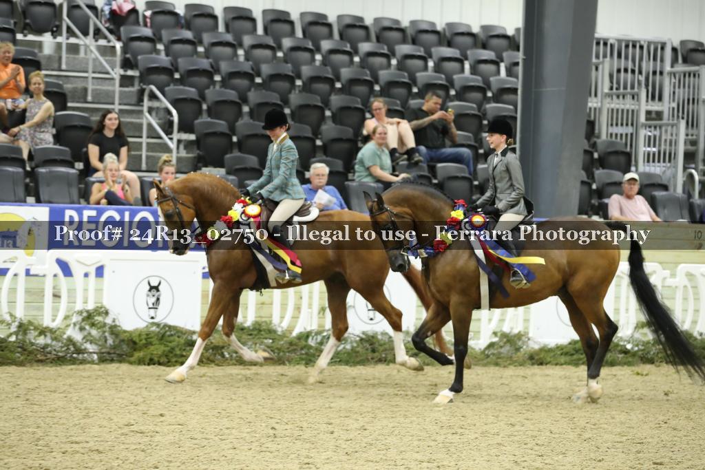 Proof 24R13_02750