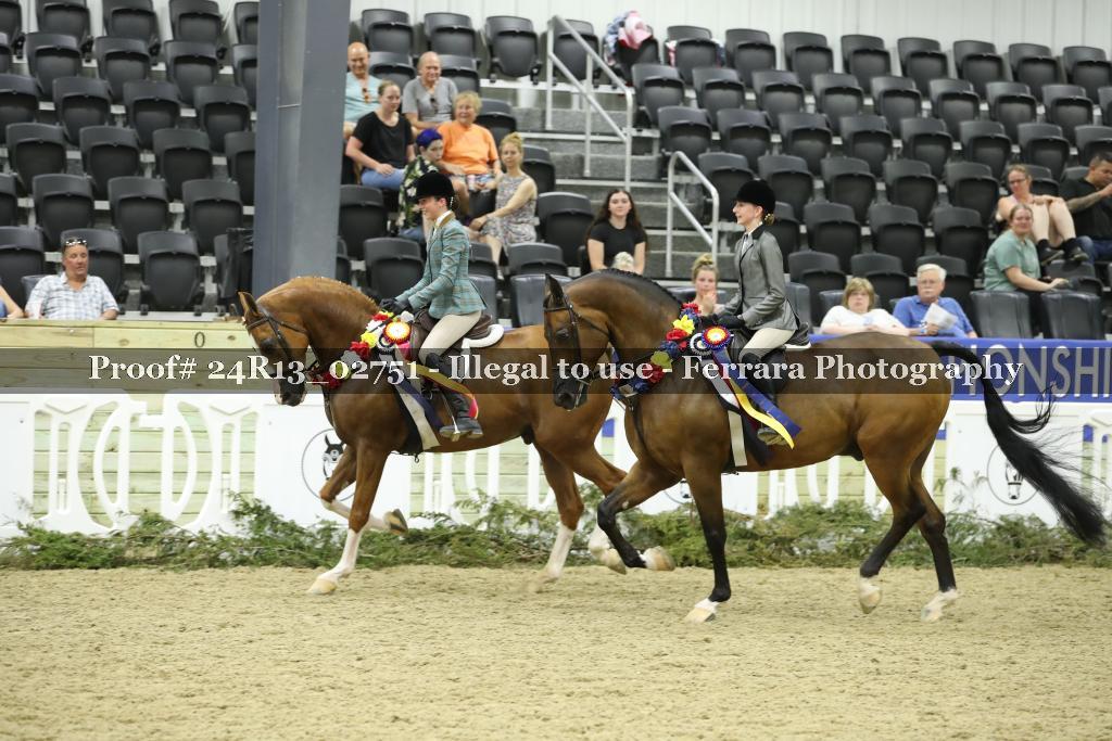 Proof 24R13_02751