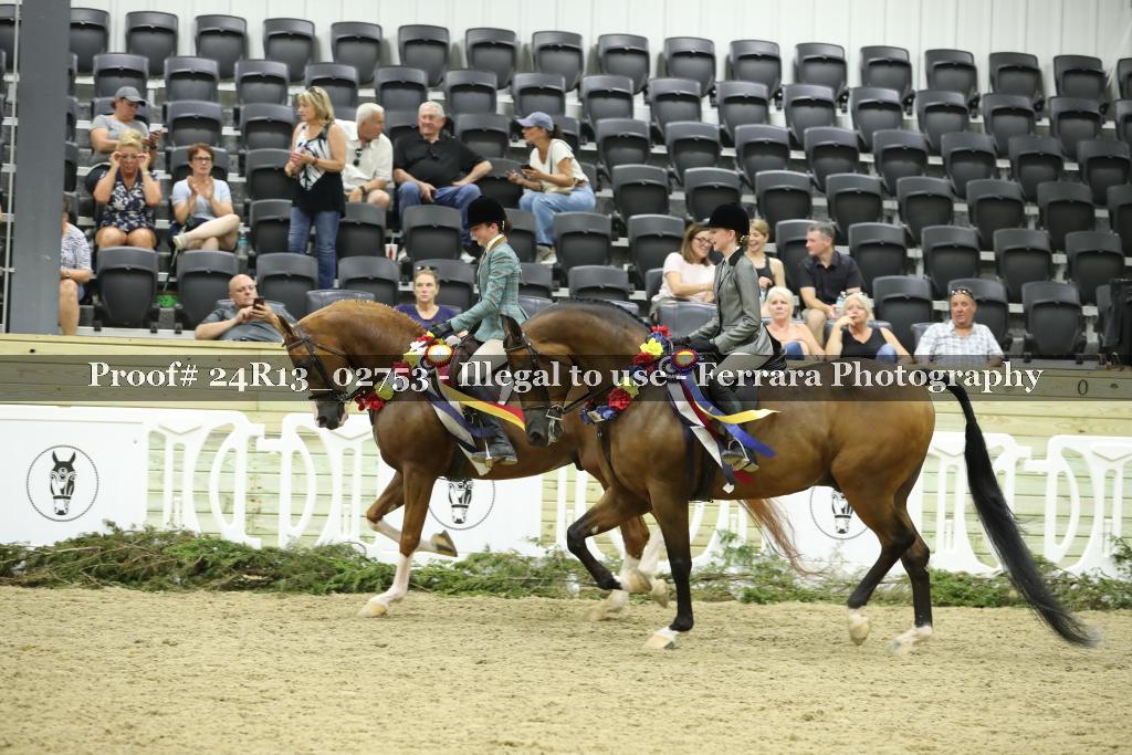 Proof 24R13_02753